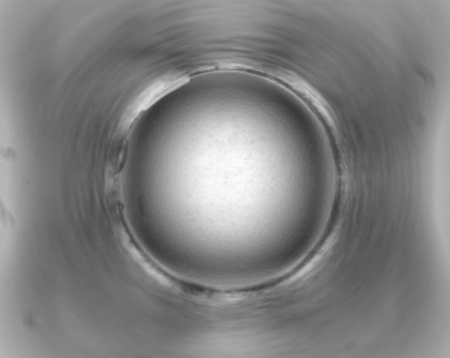 X0000090961385200708091347