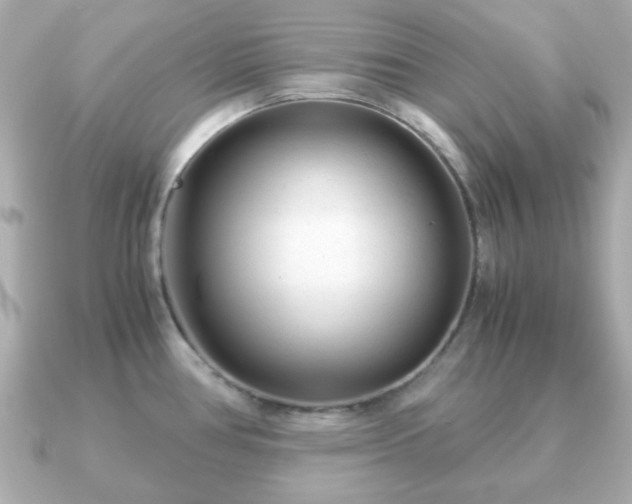 X0000090961386200708091347