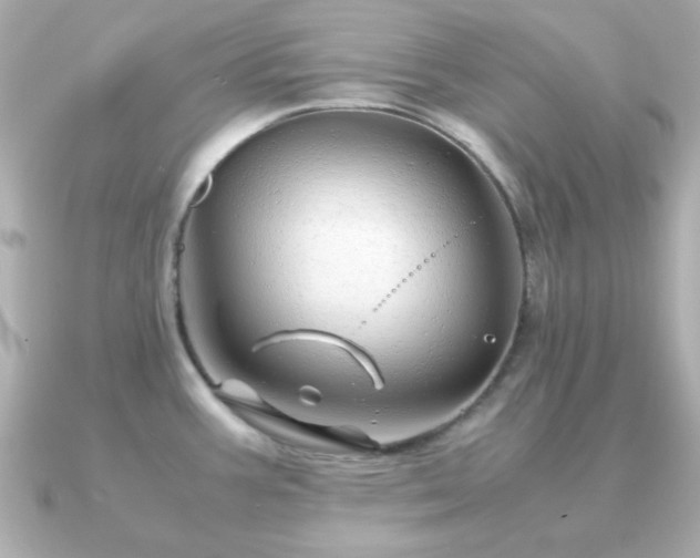 X0000090961387200708091347
