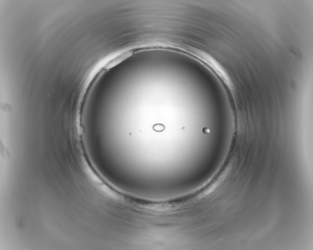 X0000090961388200708091347