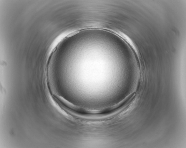 X0000090961389200708091347