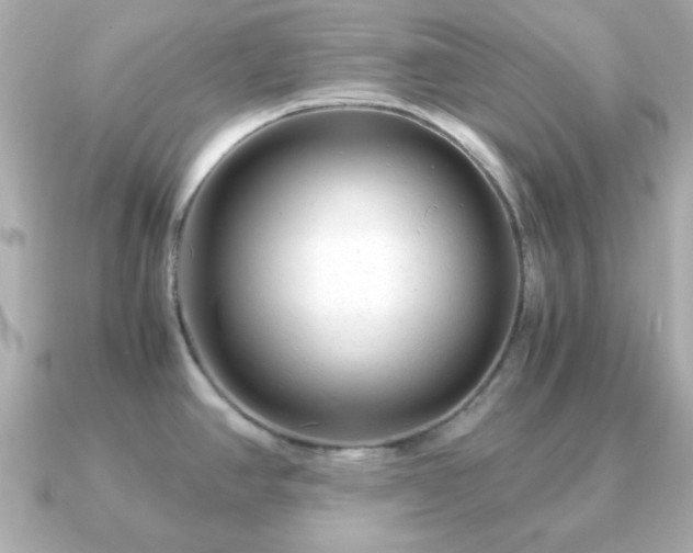 X0000090961390200708091347