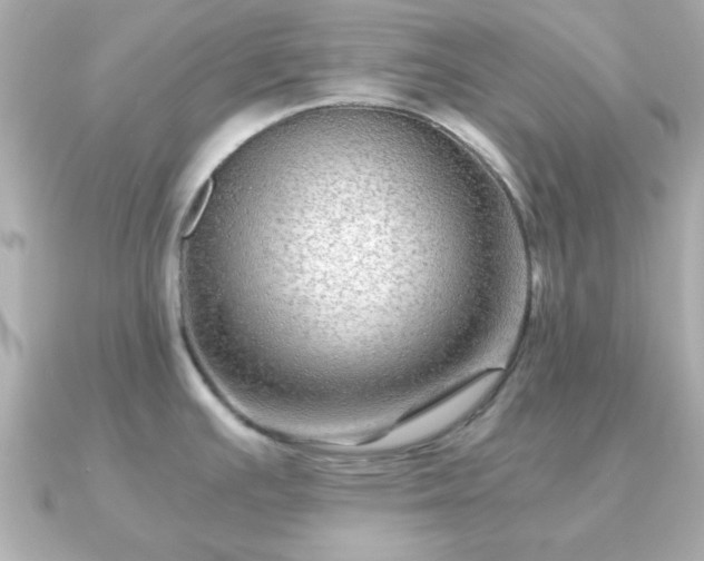 X0000090961391200708091347