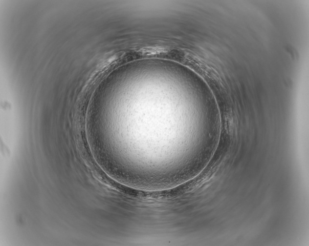 X0000090961393200708091346