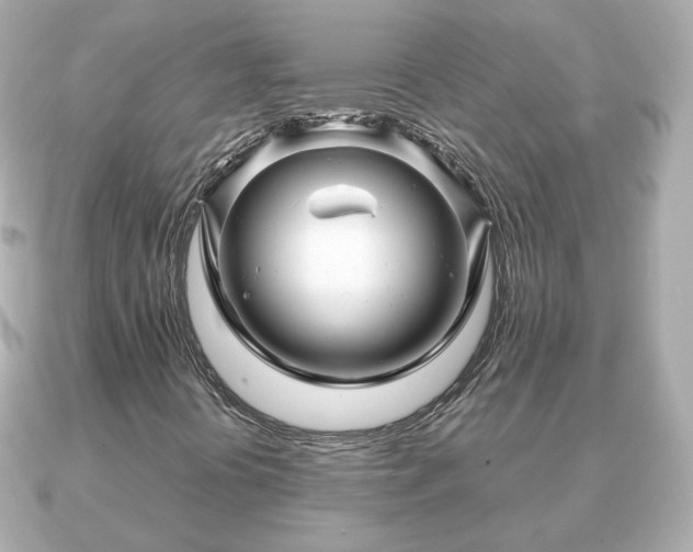 X0000090961394200708091346