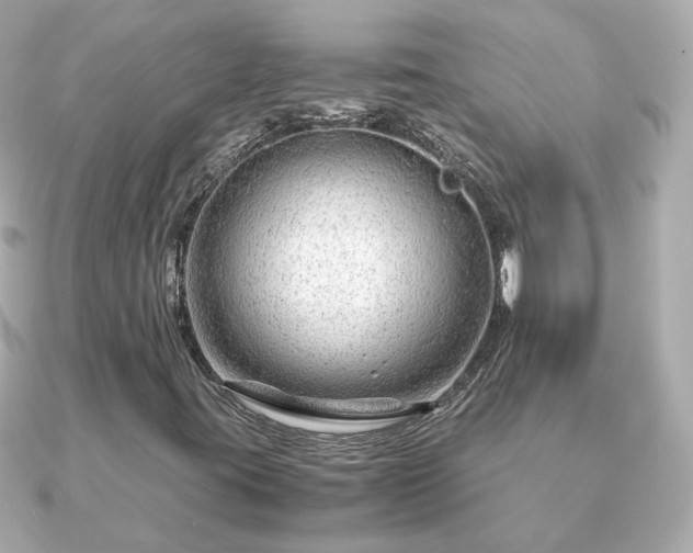 X0000090961395200708091346