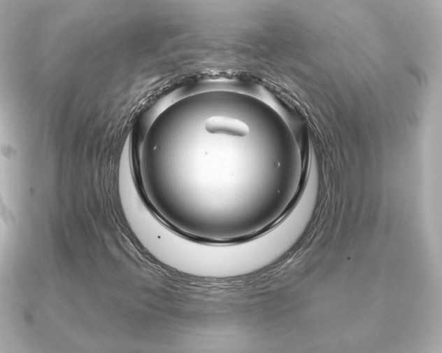 X0000090961396200708091346