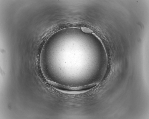 X0000090961397200708091346