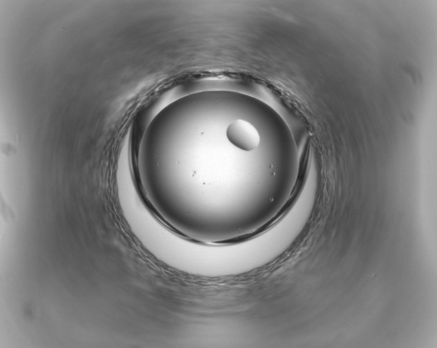 X0000090961398200708091346