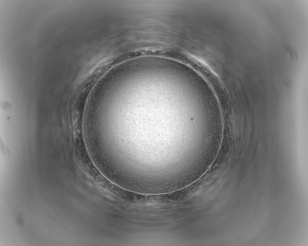 X0000090961399200708091346