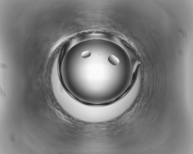 X0000090961400200708091346