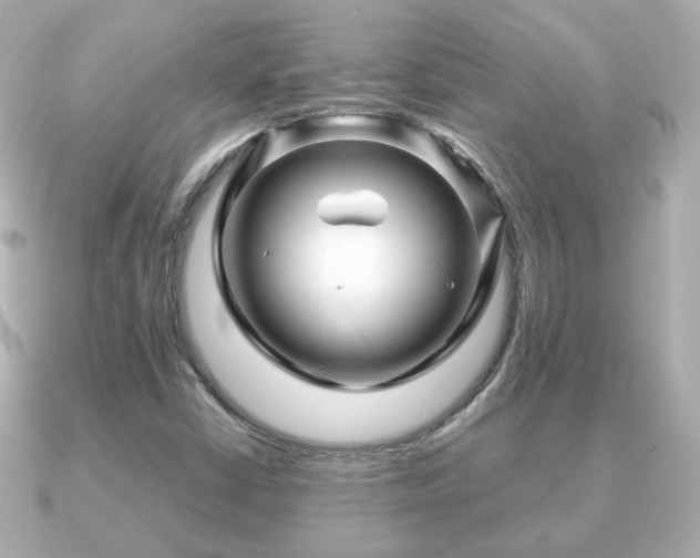 X0000090961402200708091346