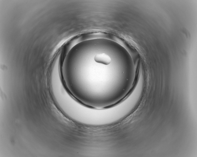 X0000090961404200708091346