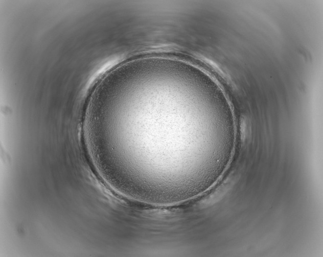 X0000090961405200708091346