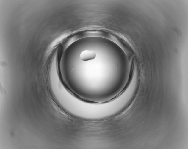 X0000090961406200708091346