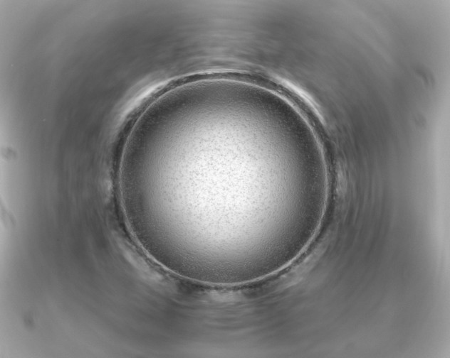 X0000090961407200708091346