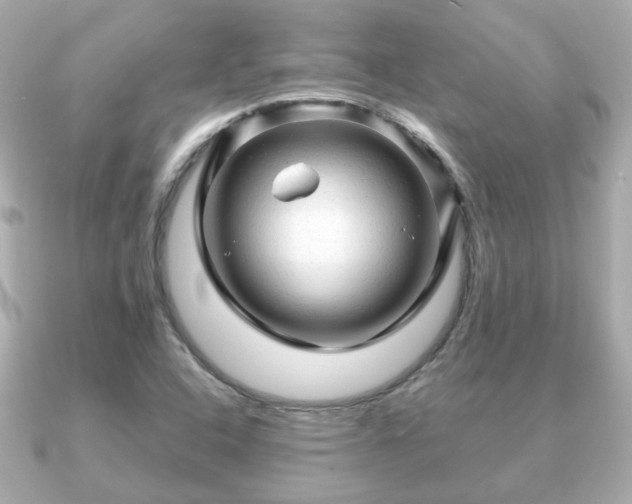X0000090961408200708091346