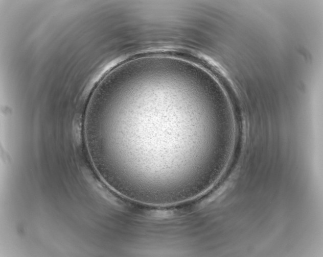 X0000090961409200708091346