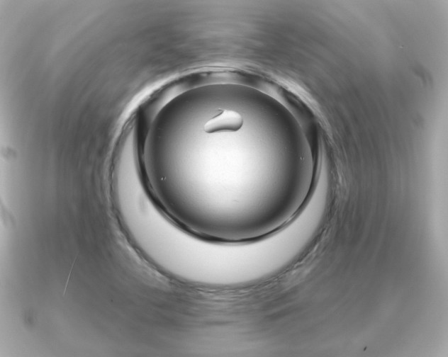 X0000090961412200708091346