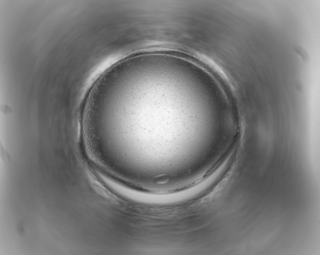 X0000090961413200708091346