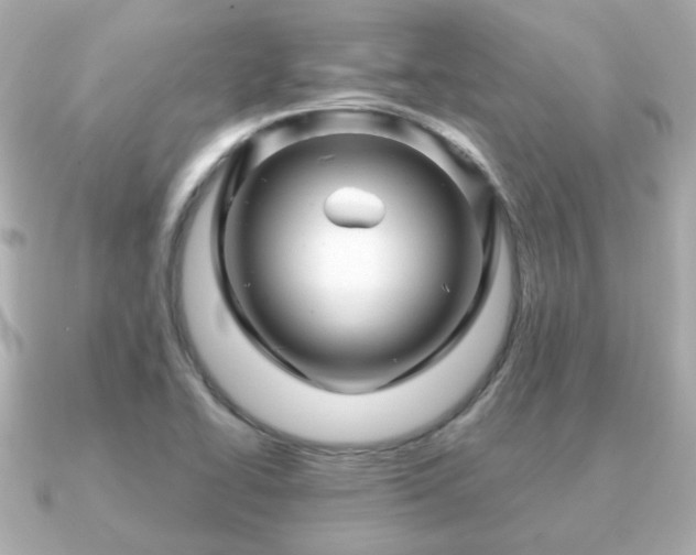 X0000090961414200708091346