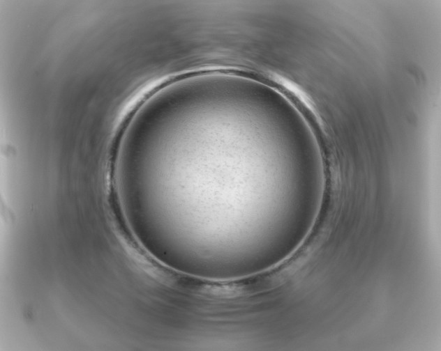 X0000090961415200708091346