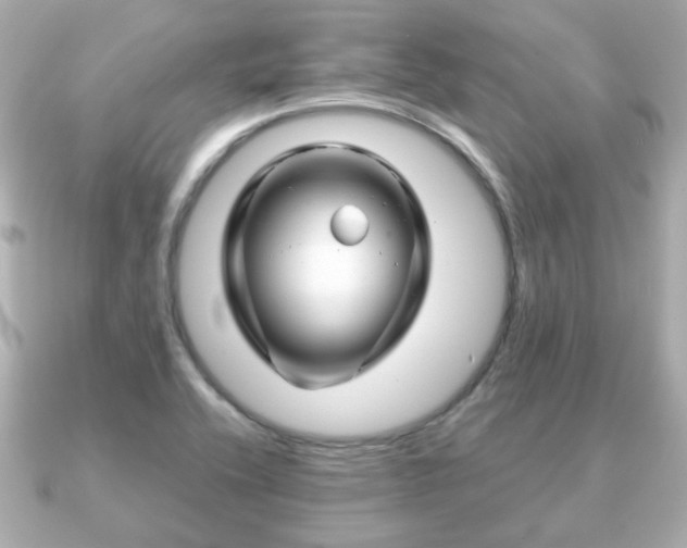 X0000090961416200708091346