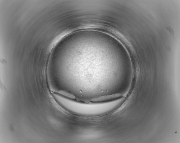 X0000090961417200708091346