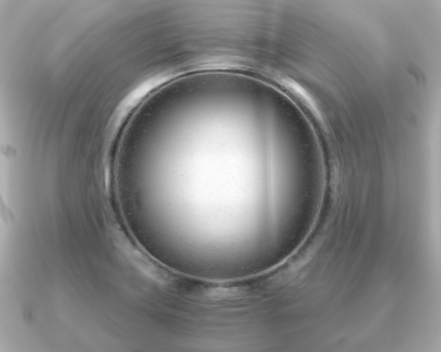 X0000090961419200708091346