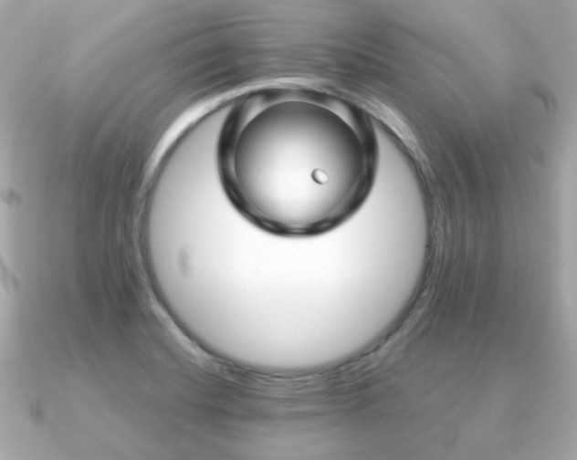 X0000090961420200708091346