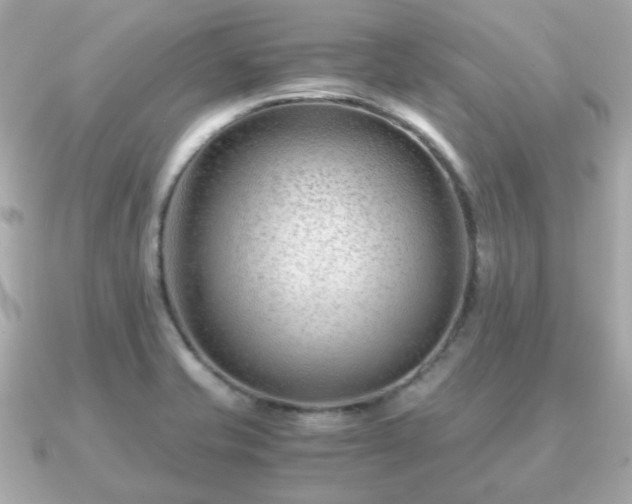 X0000090961421200708091346