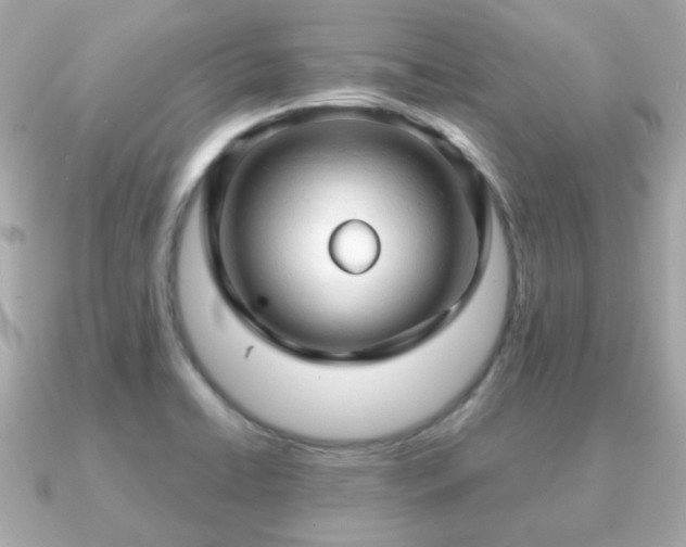 X0000090961422200708091346