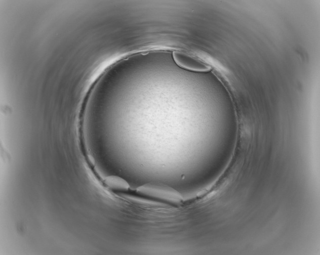 X0000090961423200708091346