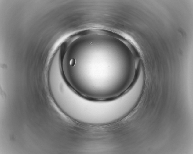 X0000090961424200708091346