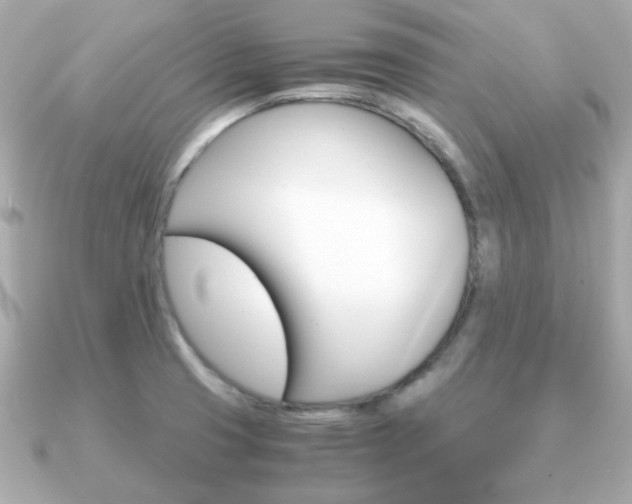 X0000090961425200708091346