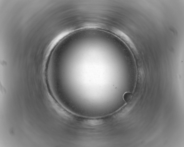 X0000090961427200708091346