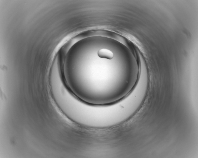 X0000090961428200708091346
