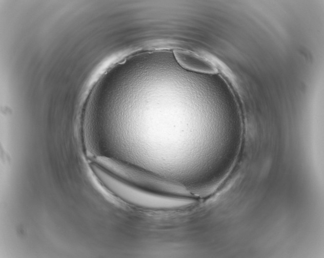 X0000090961429200708091346