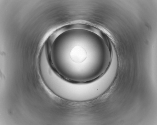 X0000090961430200708091346