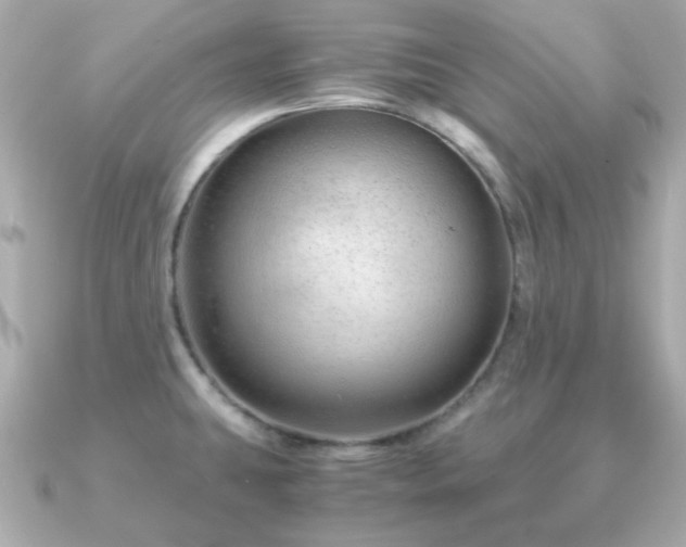 X0000090961431200708091346