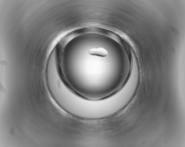 X0000090961432200708091346