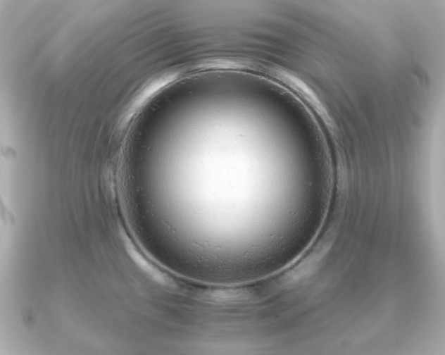 X0000090961433200708091346