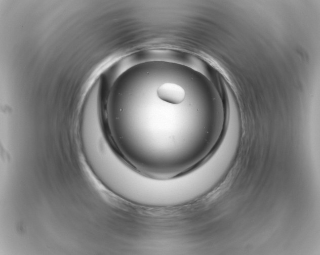 X0000090961434200708091347