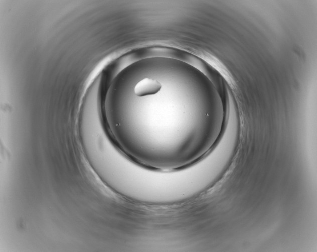 X0000090961436200708091347