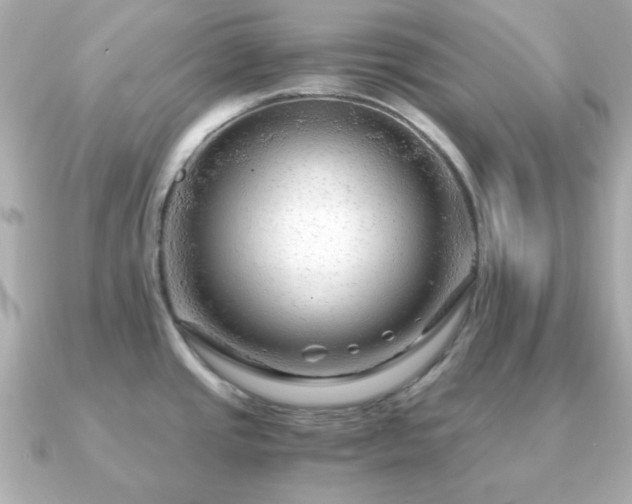 X0000090961437200708091347