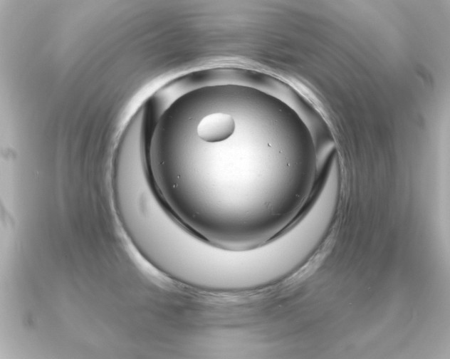 X0000090961438200708091347