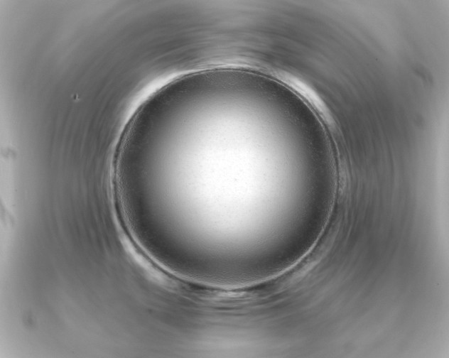 X0000090961439200708091347