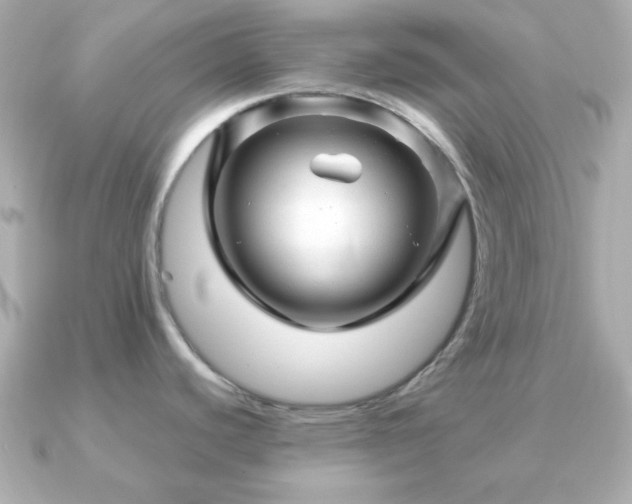 X0000090961440200708091347
