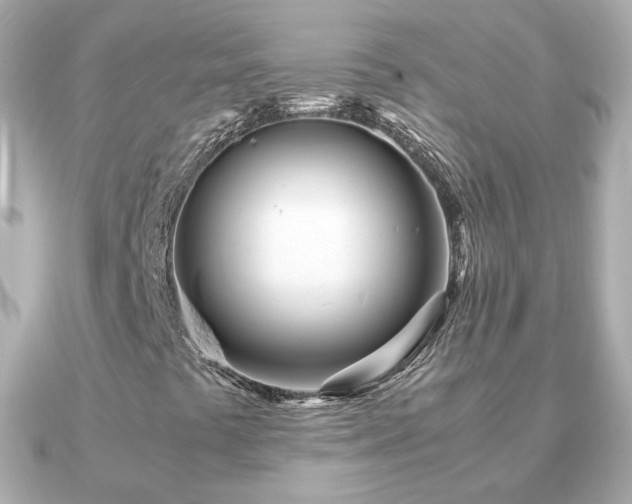 X0000090961441200708091346
