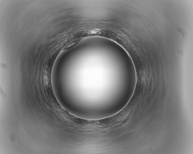 X0000090961442200708091346